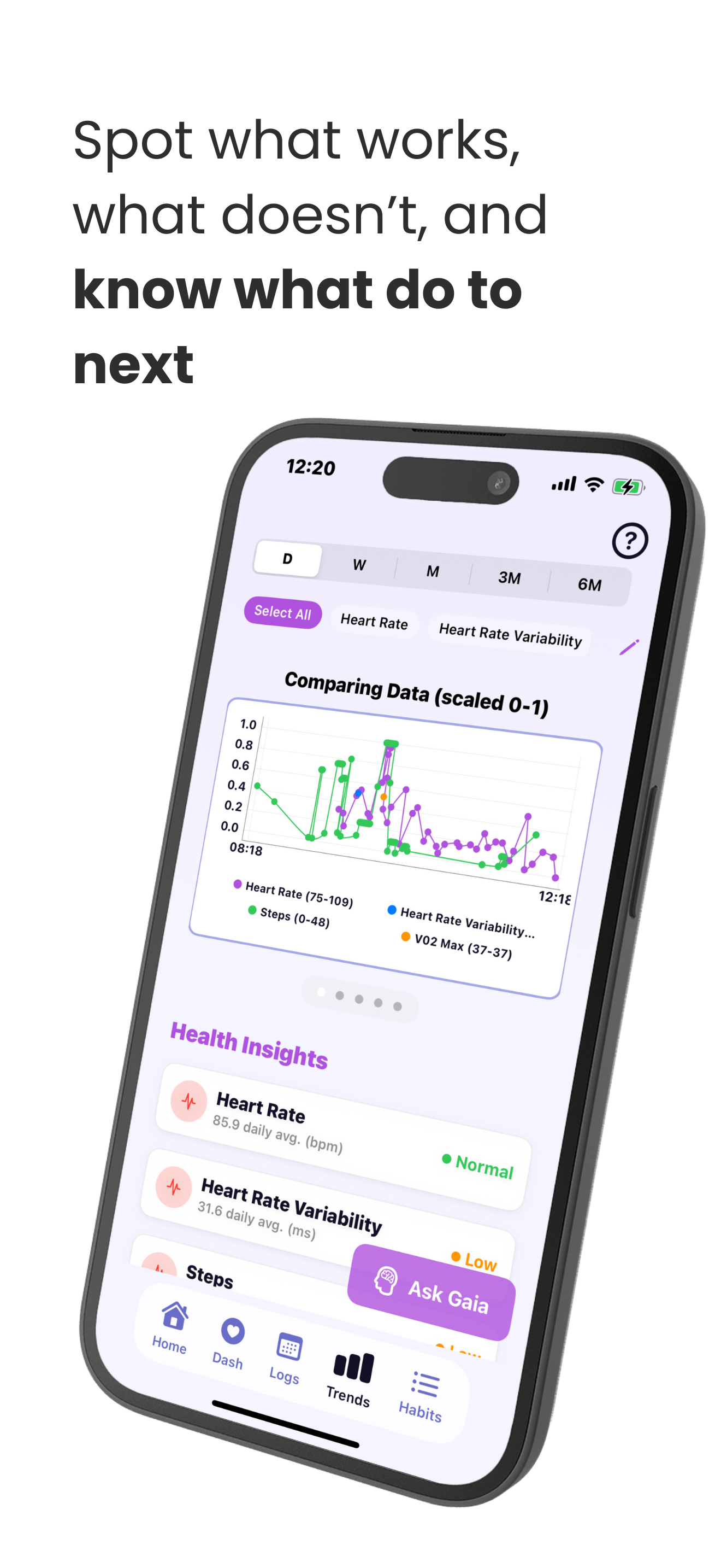 GAIA Insights