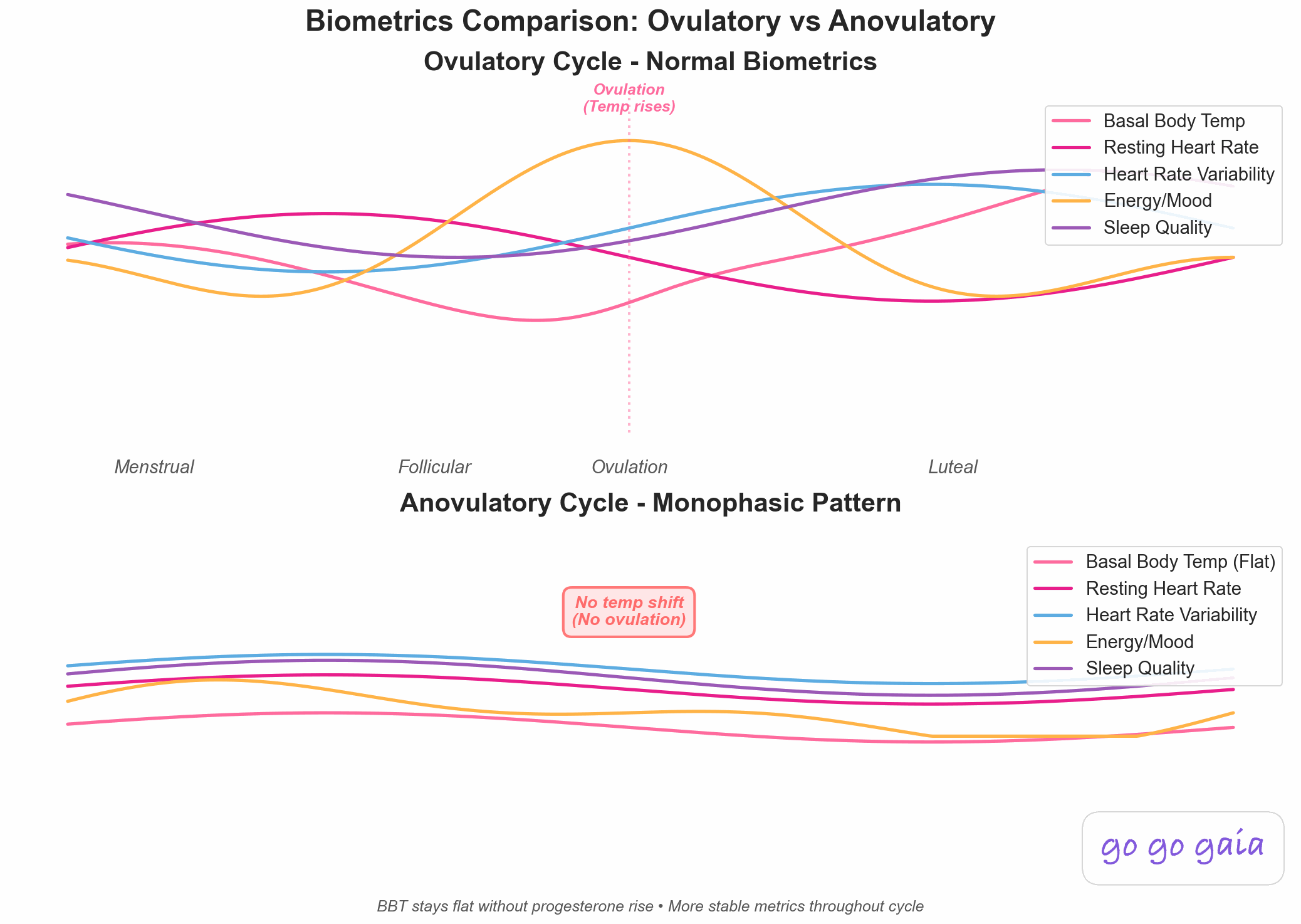 Dual-panel comparison chart showing biometric patterns in ovulatory versus anovulatory cycles. Top panel shows ovulatory cycle with biphasic basal body temperature pattern rising 0.5 degrees after ovulation, resting heart rate increasing during luteal phase, and heart rate variability dropping post-ovulation. Bottom panel shows anovulatory cycle with flat monophasic temperature pattern, no significant heart rate changes, and absent cyclical biometric patterns, indicating no ovulation occurred
