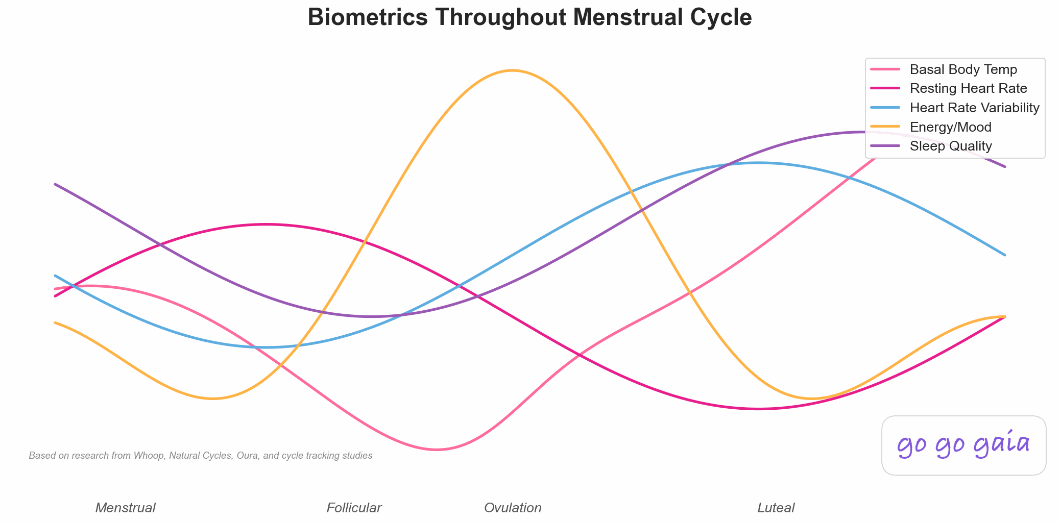 Line graph showing five key biometric changes throughout a 28-day menstrual cycle: basal body temperature showing biphasic pattern rising 0.5 degrees after ovulation, resting heart rate increasing 2-5 bpm during luteal phase, heart rate variability highest during follicular phase indicating best recovery, energy and mood peaking at ovulation with high estrogen, and sleep quality best in follicular phase decreasing during luteal phase