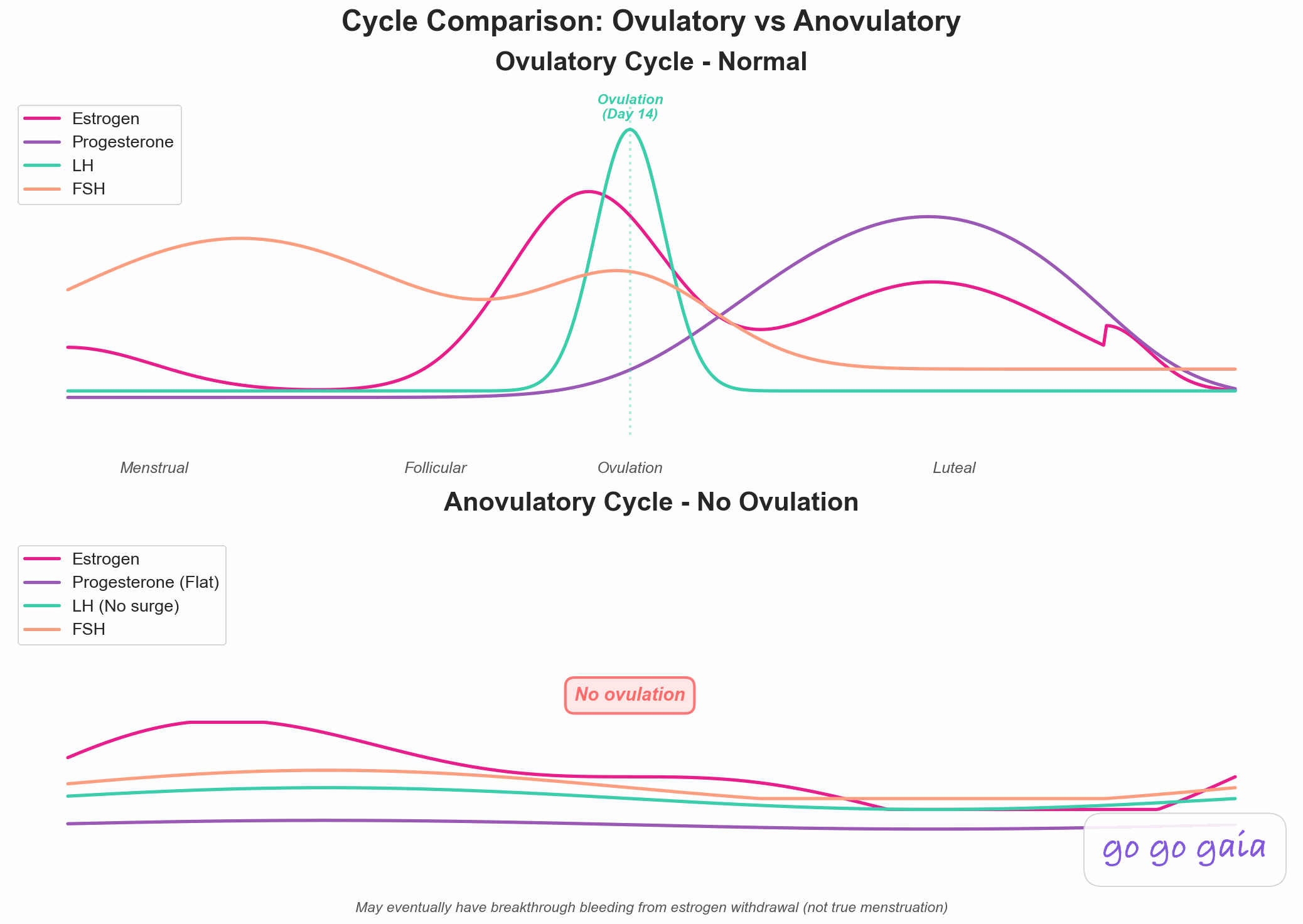 Dual-panel comparison chart showing hormone patterns in ovulatory versus anovulatory menstrual cycles. Top panel (ovulatory cycle): displays normal hormone patterns with sharp LH surge at ovulation on day 14, estrogen peak triggering the surge, and rising progesterone in the luteal phase after ovulation. Bottom panel (anovulatory cycle): shows no LH surge, flat progesterone levels throughout indicating no corpus luteum formation, and irregular estrogen without coordinated ovulation peak. Note explains that bleeding may still occur from estrogen withdrawal but this is breakthrough bleeding, not true menstruation.