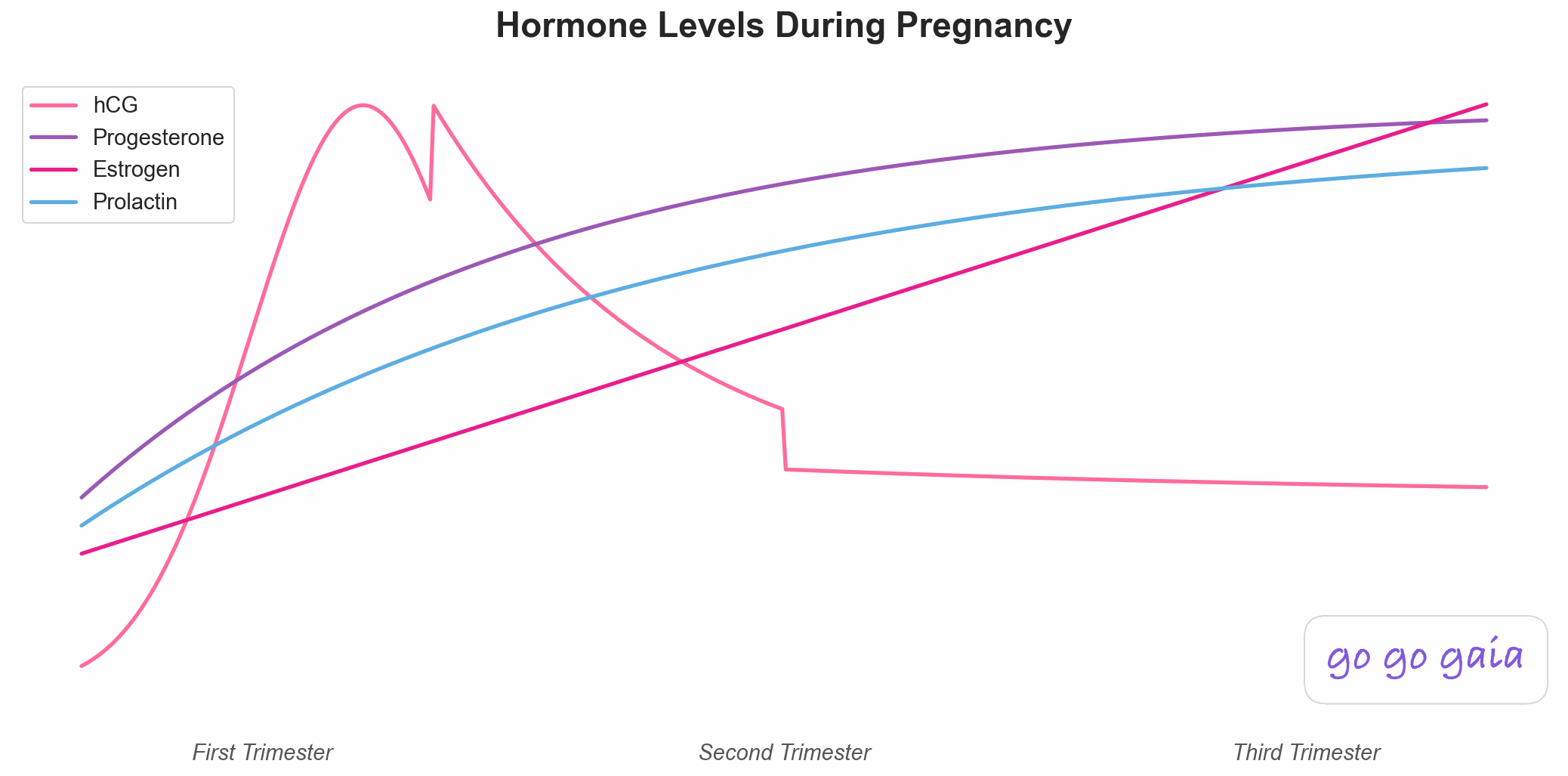 Hormone levels during pregnancy showing HCG, progesterone, and estrogen changes across trimesters