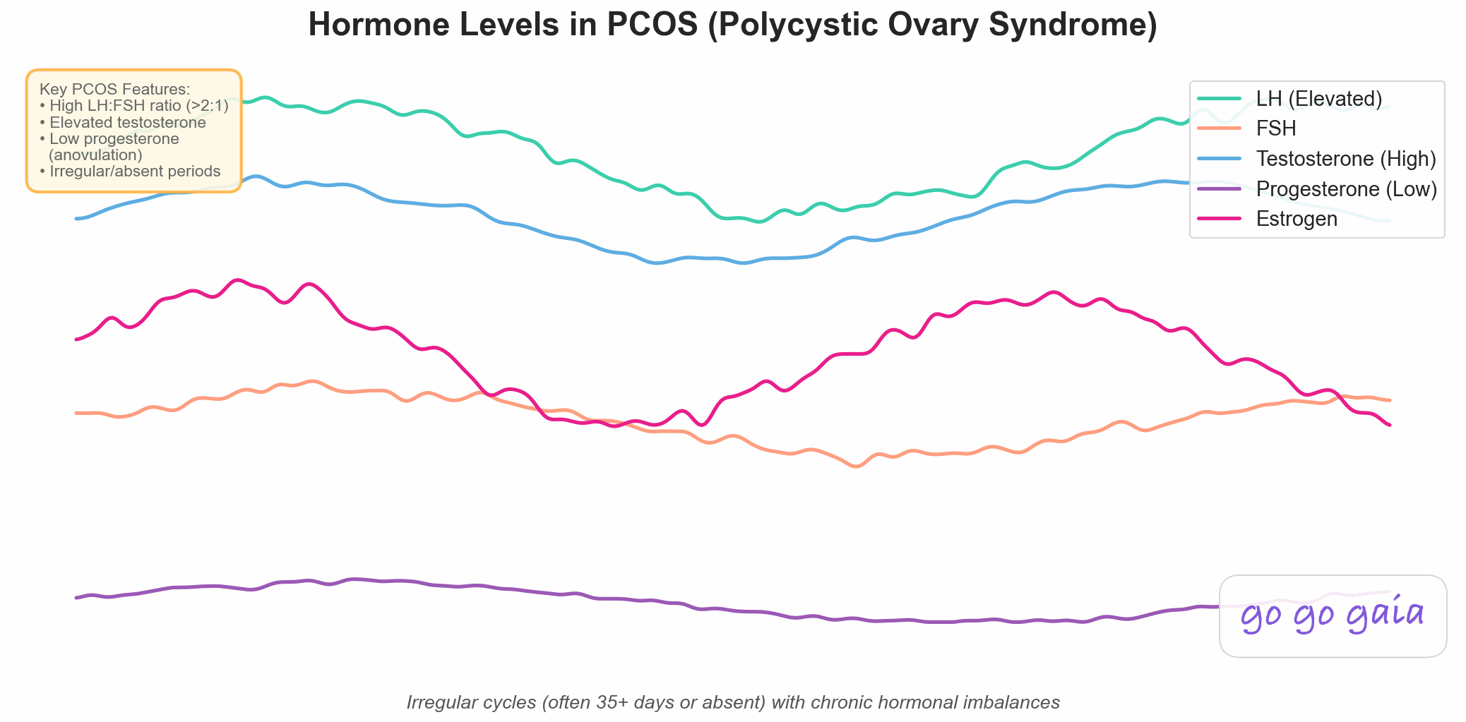 Line graph showing characteristic hormone patterns in PCOS (Polycystic Ovary Syndrome) over an irregular extended cycle. Chart displays elevated LH levels, lower FSH creating a high LH:FSH ratio greater than 2:1, significantly elevated testosterone causing androgen symptoms, consistently low and flat progesterone indicating anovulation (no ovulation), and irregular estrogen fluctuations without normal cyclical patterns. The abnormal hormone balance results in irregular cycles often 35+ days apart or completely absent periods.