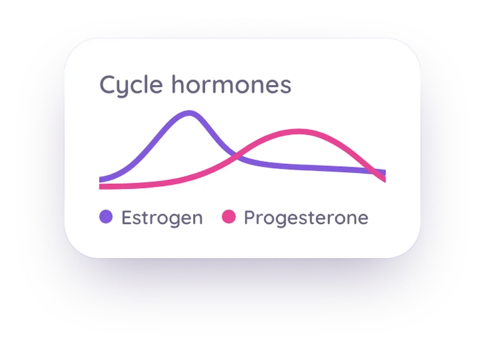Stylized chart of estrogen and progesterone across the cycle
